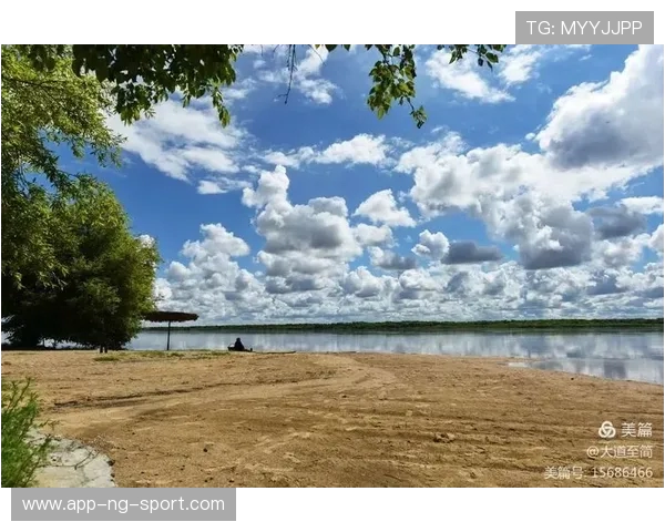 JDG在大师赛中的团队协作表现分析与精彩瞬间回顾