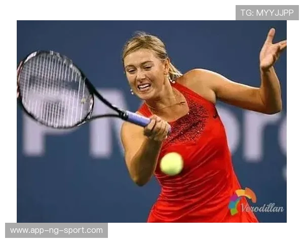 广州网球队进攻战术深度解析与实战应用探讨